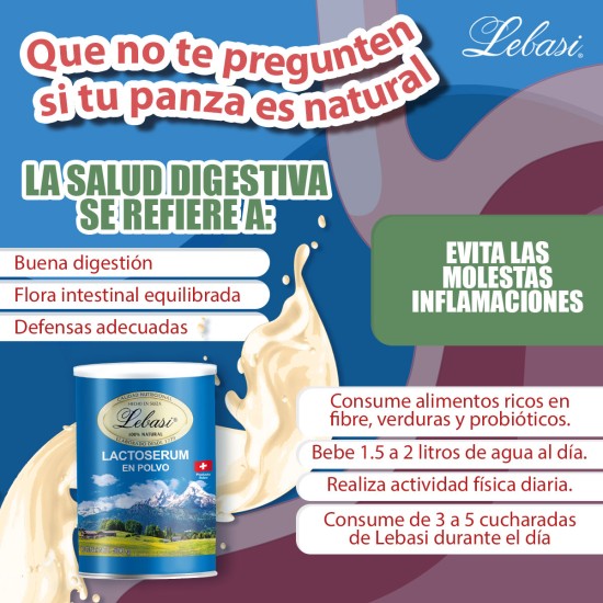 Lactoserum Suizo en Polvo Lebasi Lactoserum Suizo en Polvo Lebasi